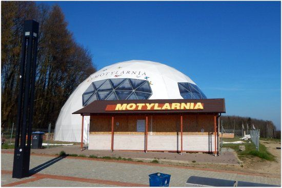 Spacery po plaży